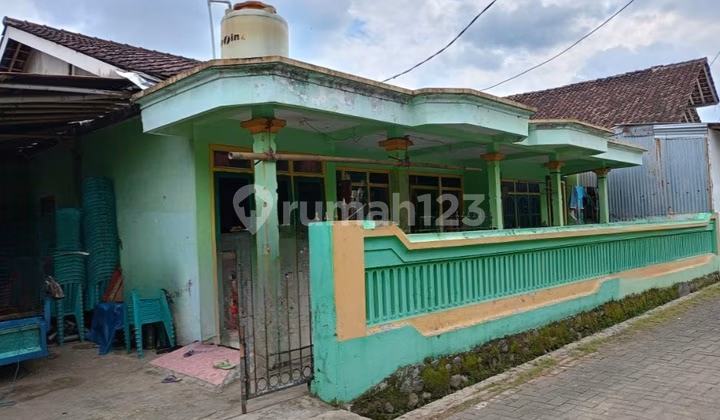 Rumah lelang Jember