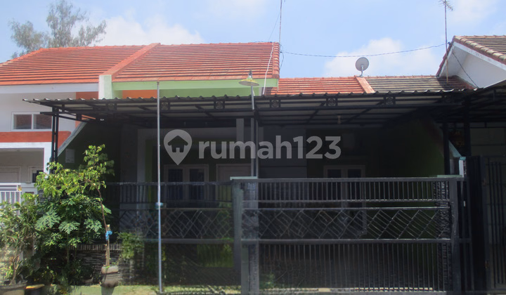 Rumah lelang Probolinggo