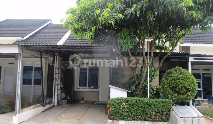 Rumah lelang Palembang