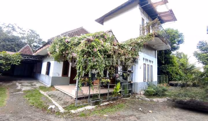 Rumah lelang Banyuwangi
