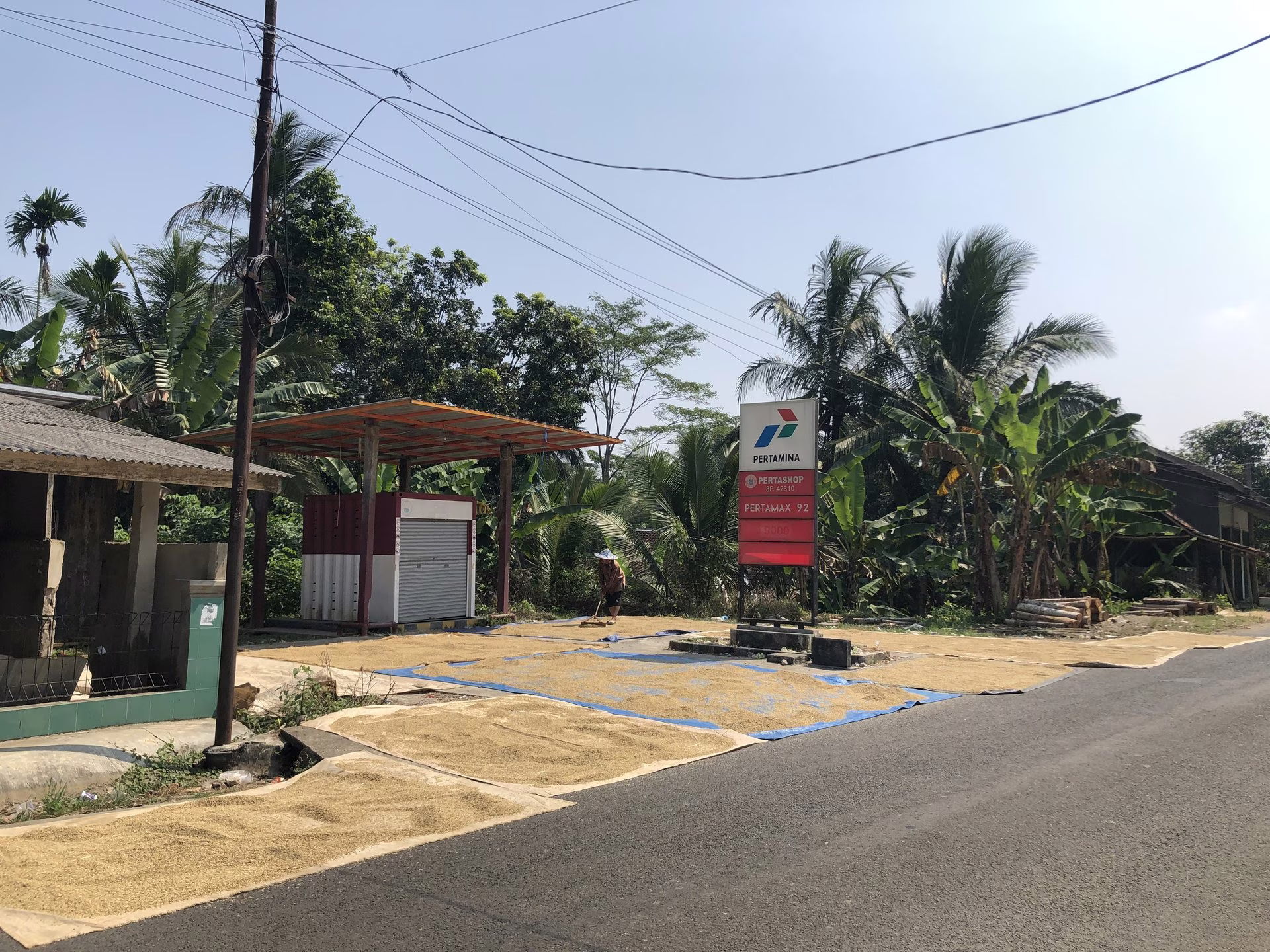 Tanah lelang Kab. Lebak