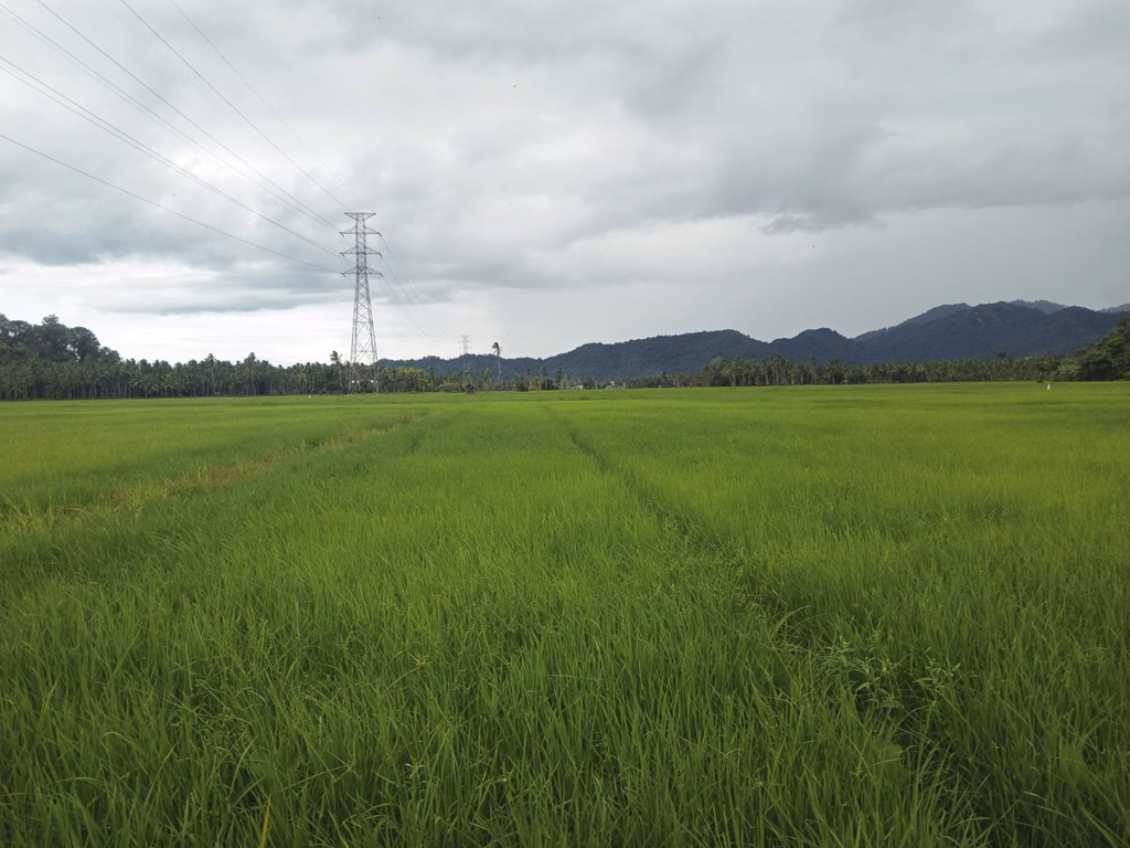 Tanah lelang Kab. Bolaang Mongondow