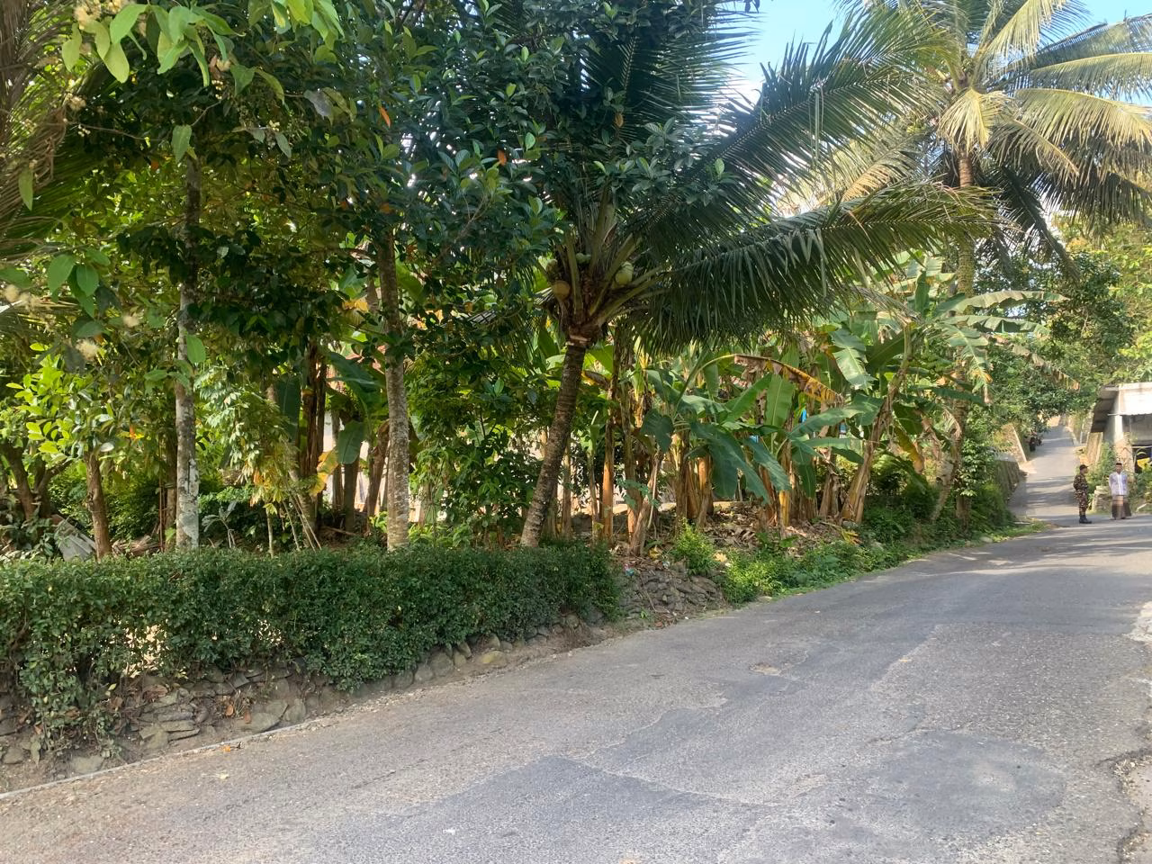 Tanah lelang Kab. Kebumen
