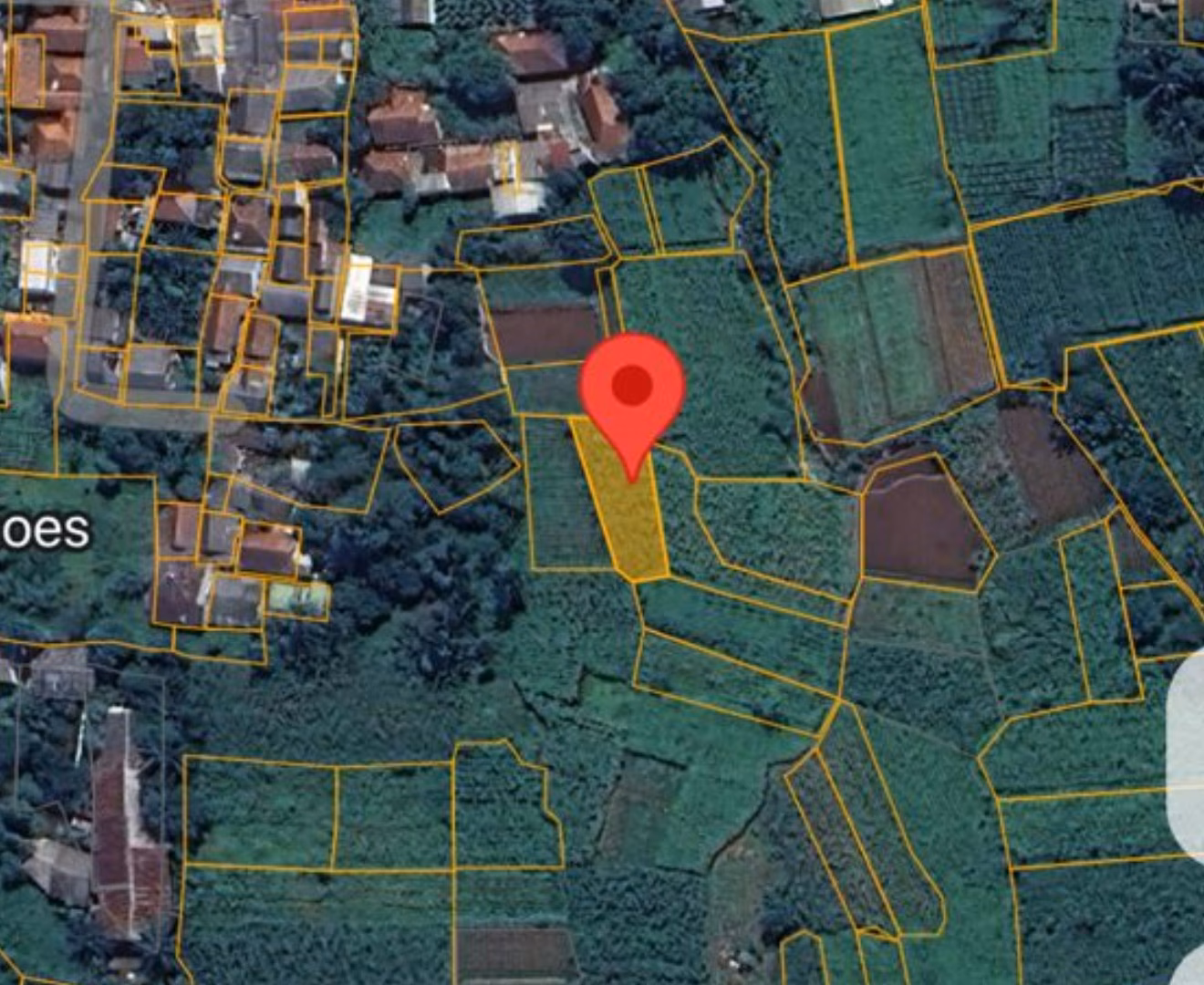 Tanah lelang Kab. Bogor