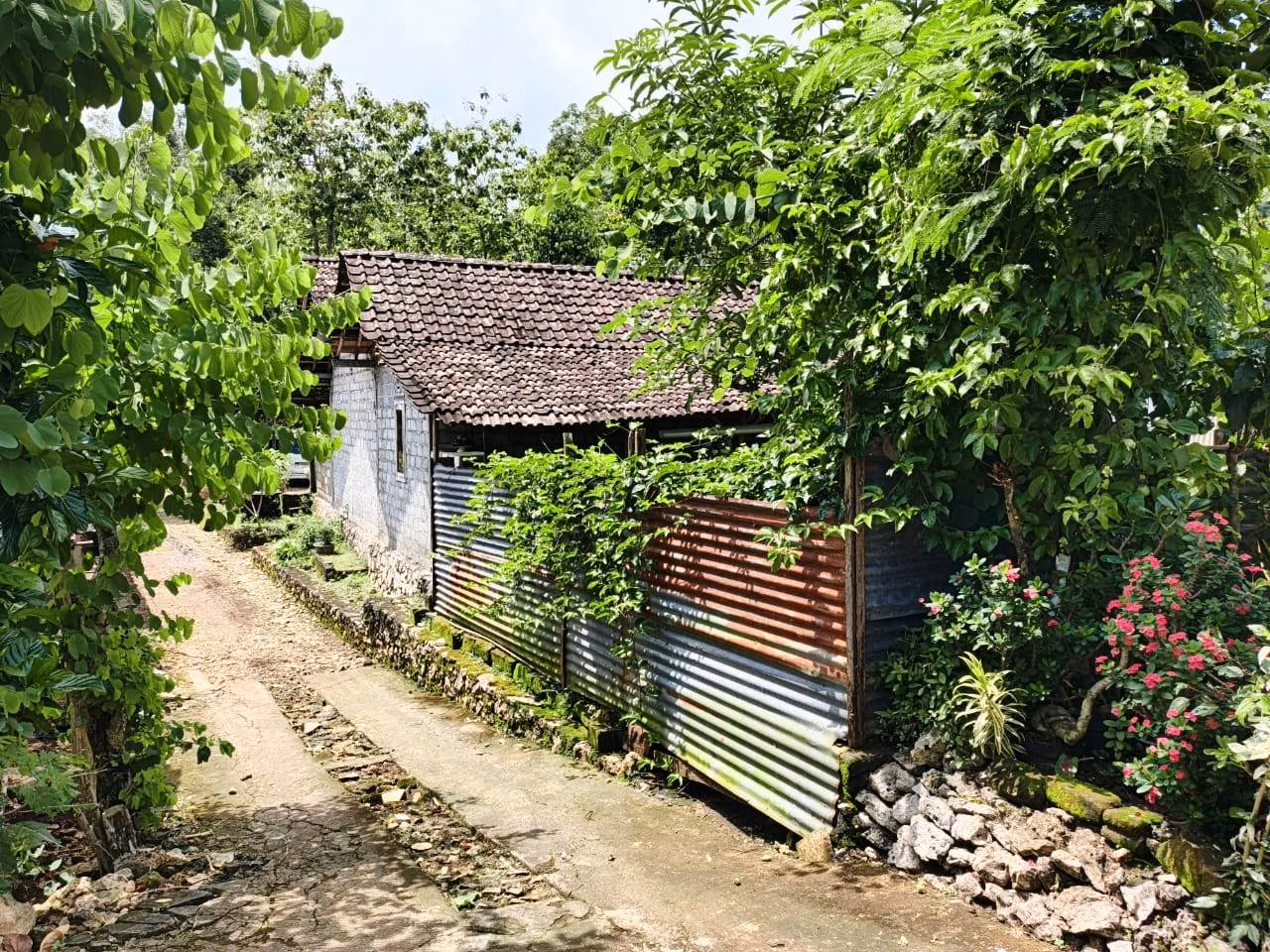 Rumah lelang Kab. Gunungkidul