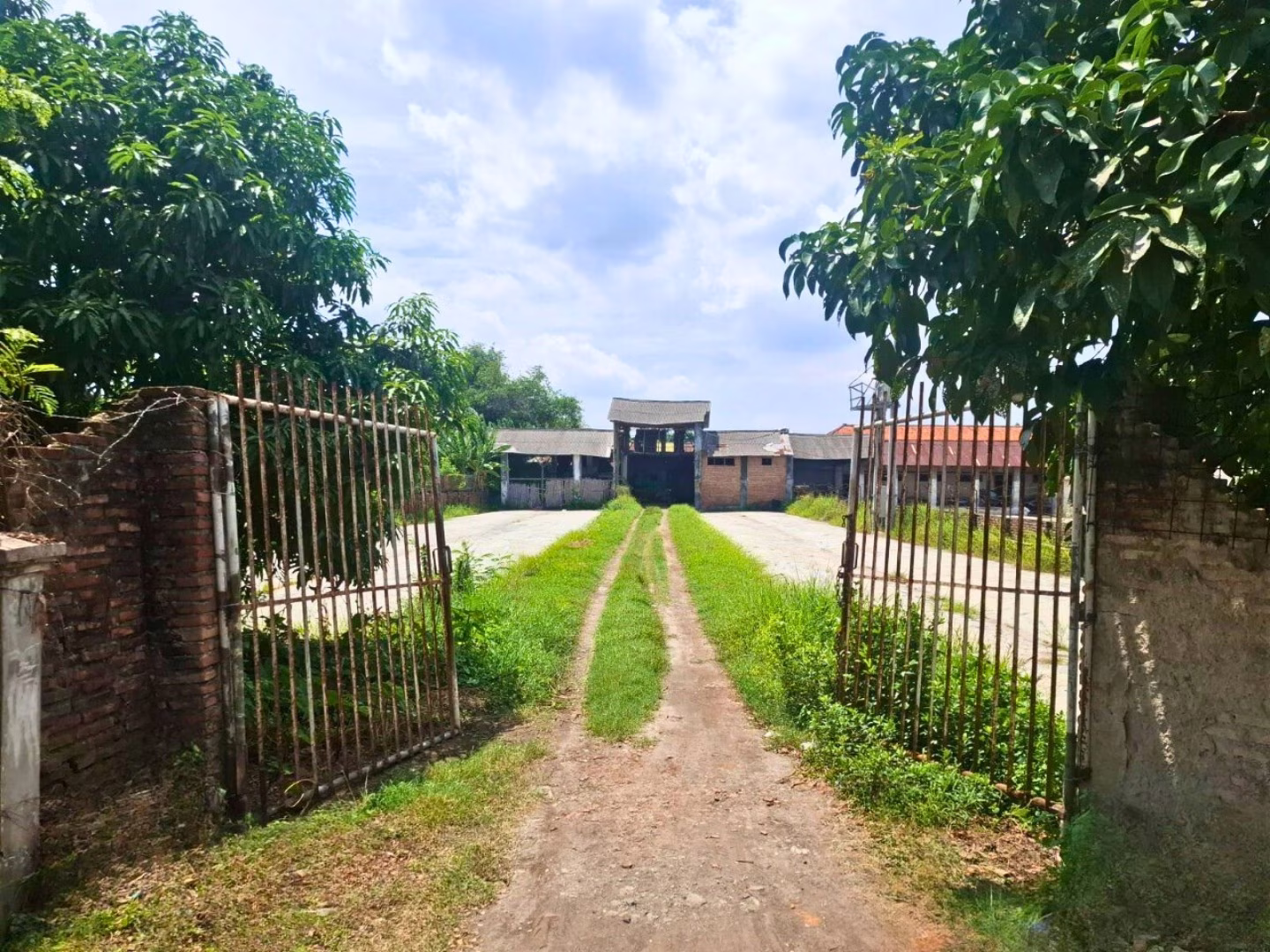 Komersil lelang Kab. Cirebon
