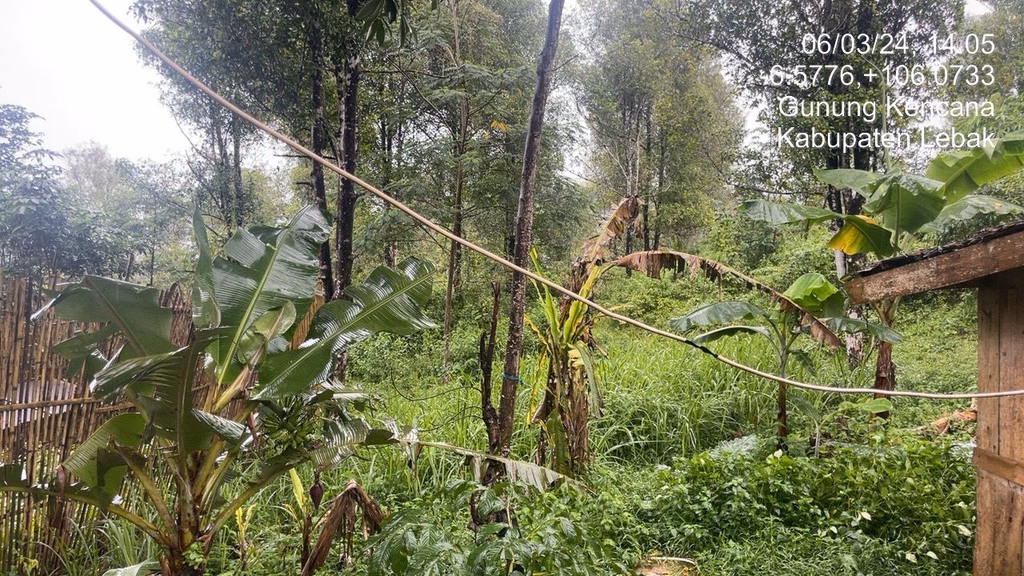 Tanah lelang Kab. Lebak