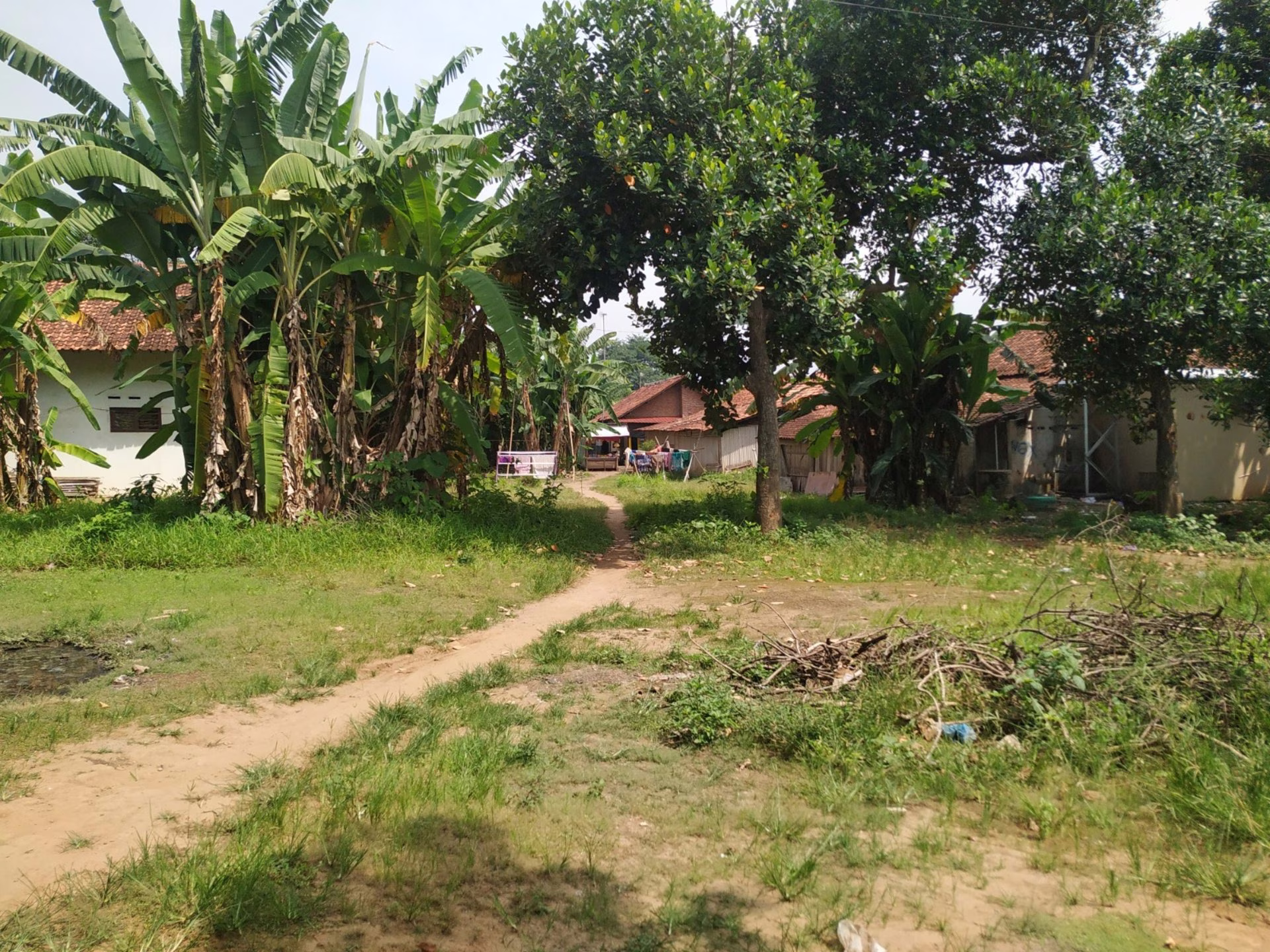 Tanah lelang Kab. Pekalongan