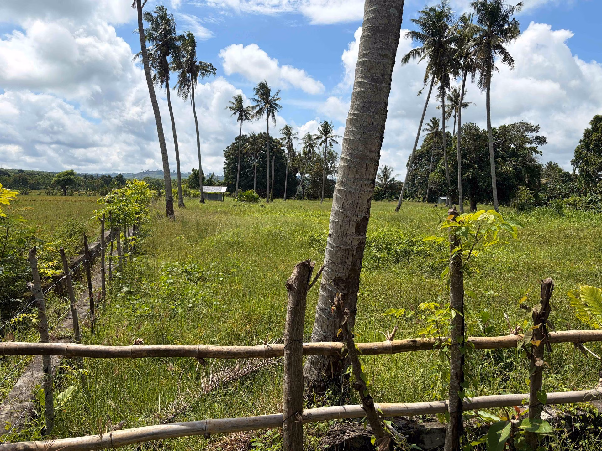 Tanah lelang Kab. Pinrang