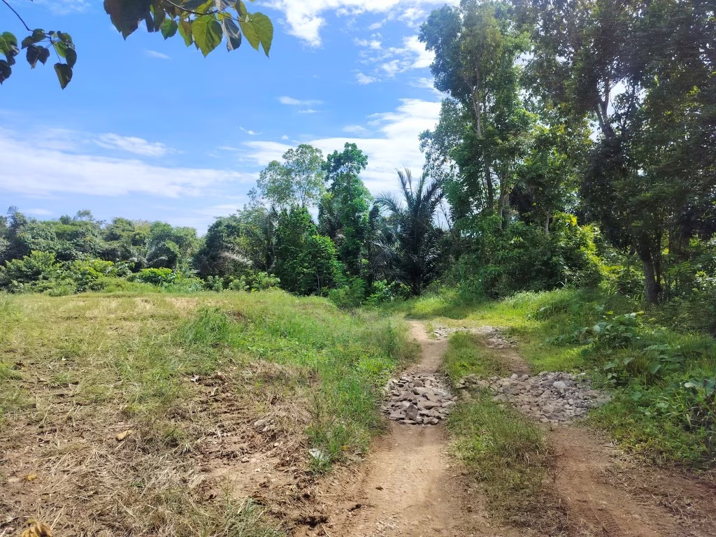 Tanah lelang Kab. Enrekang