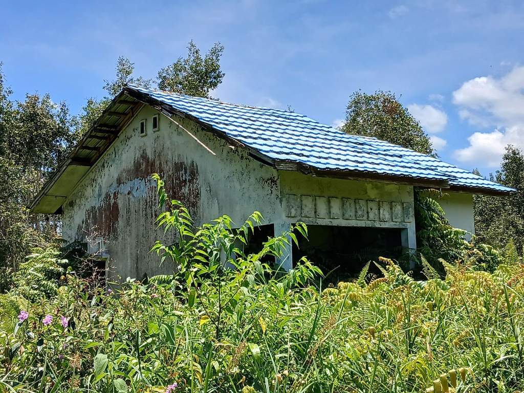 Rumah lelang Kab. Barito Kuala