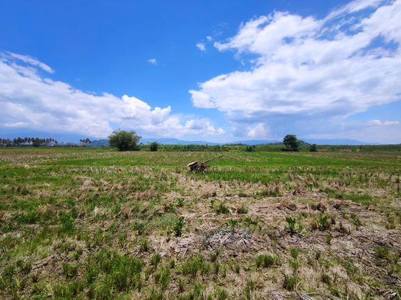 Tanah lelang Kab. Gorontalo