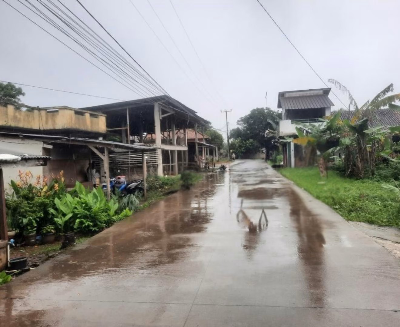 Rumah lelang Kab. Bogor