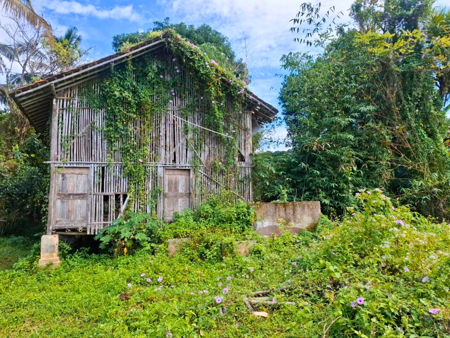 Tanah lelang Kab. Kuningan
