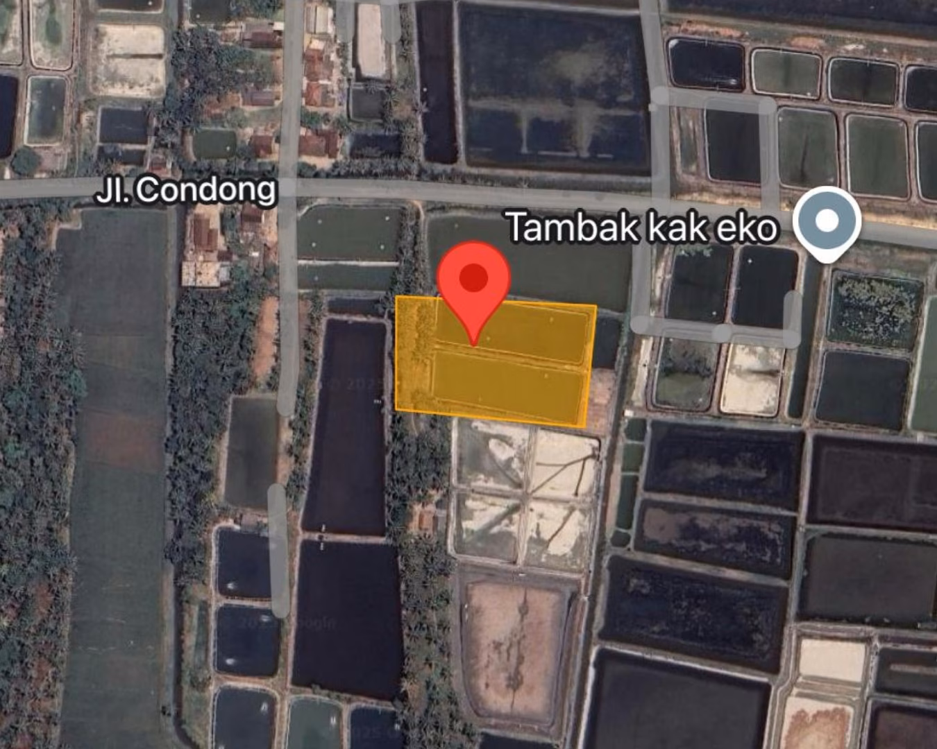 Tanah lelang Kab. Lampung Timur