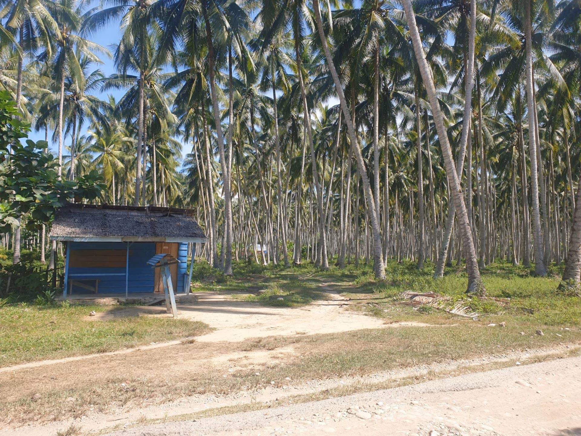 Tanah lelang Kab. Parigi Moutong