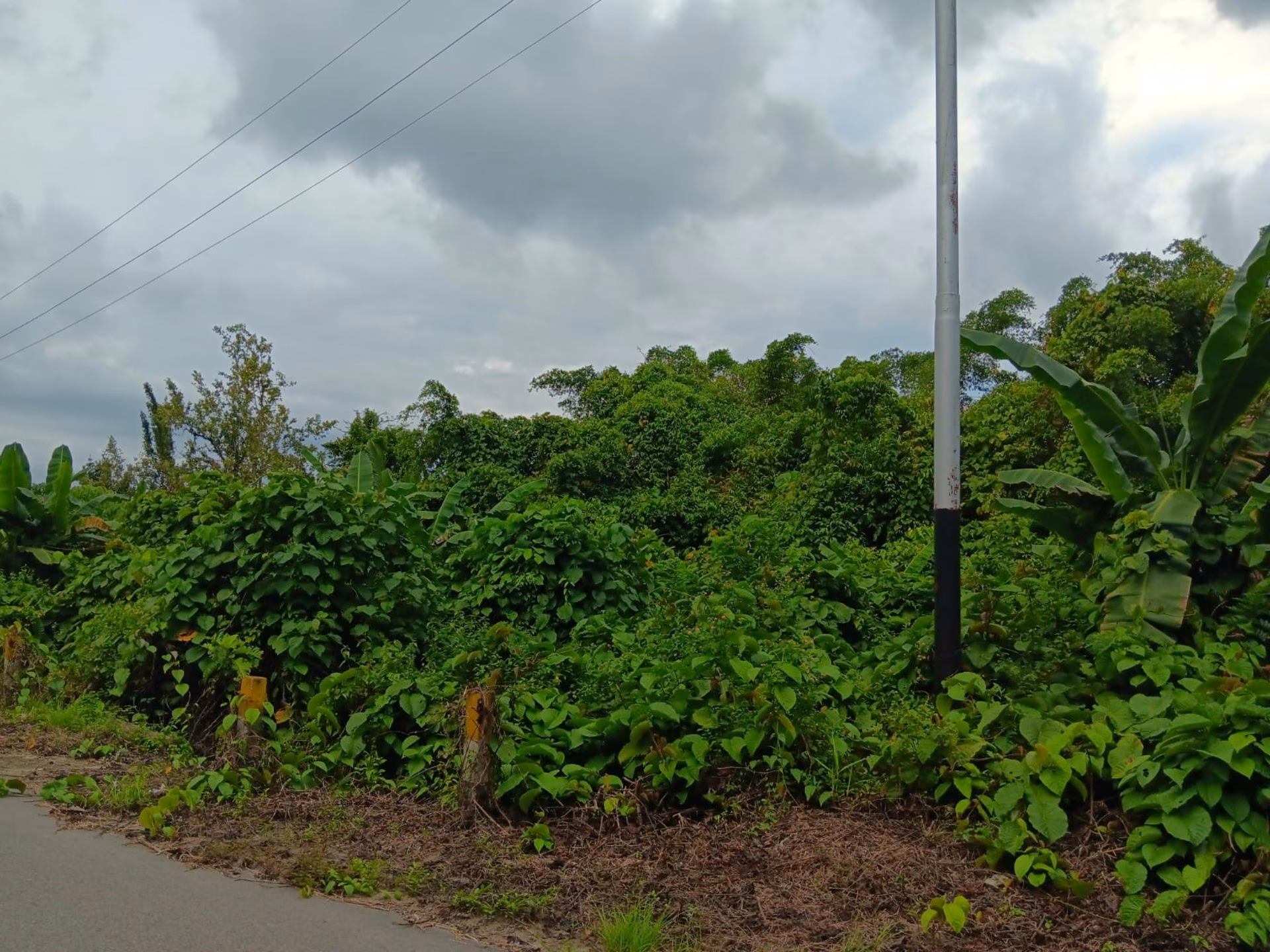 Tanah lelang Kab. Toli Toli