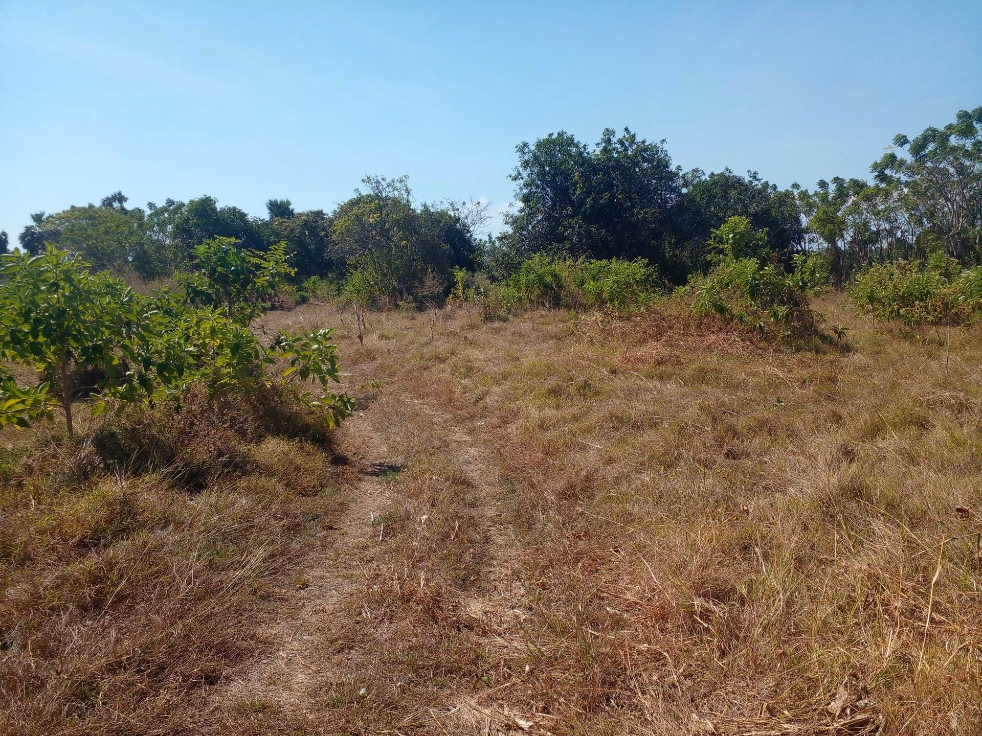 Tanah lelang Kab. Takalar