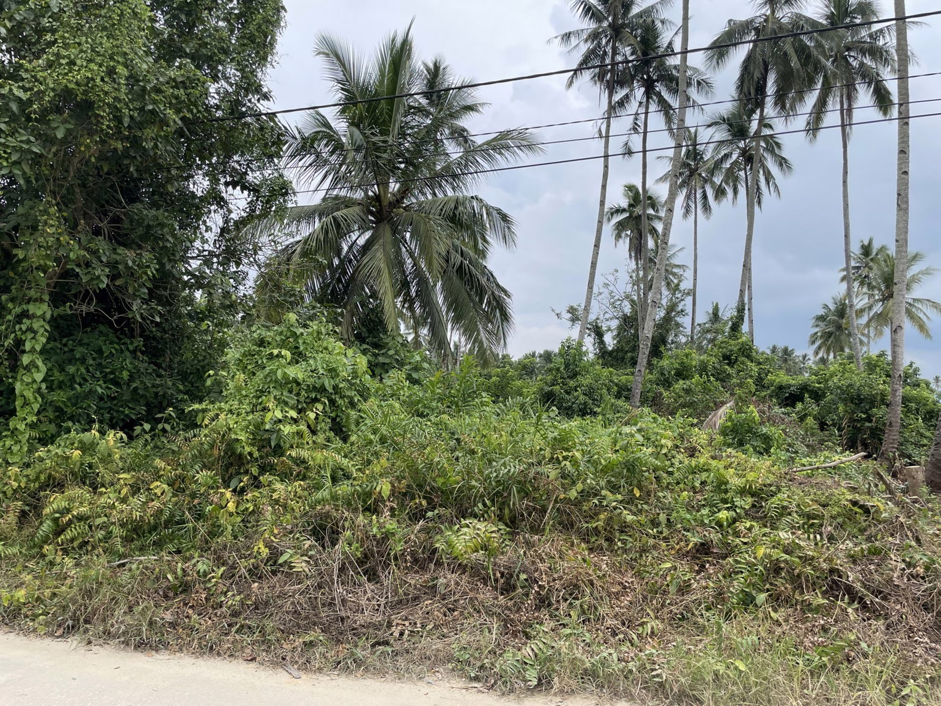Tanah lelang Kab. Kutai Kartanegara