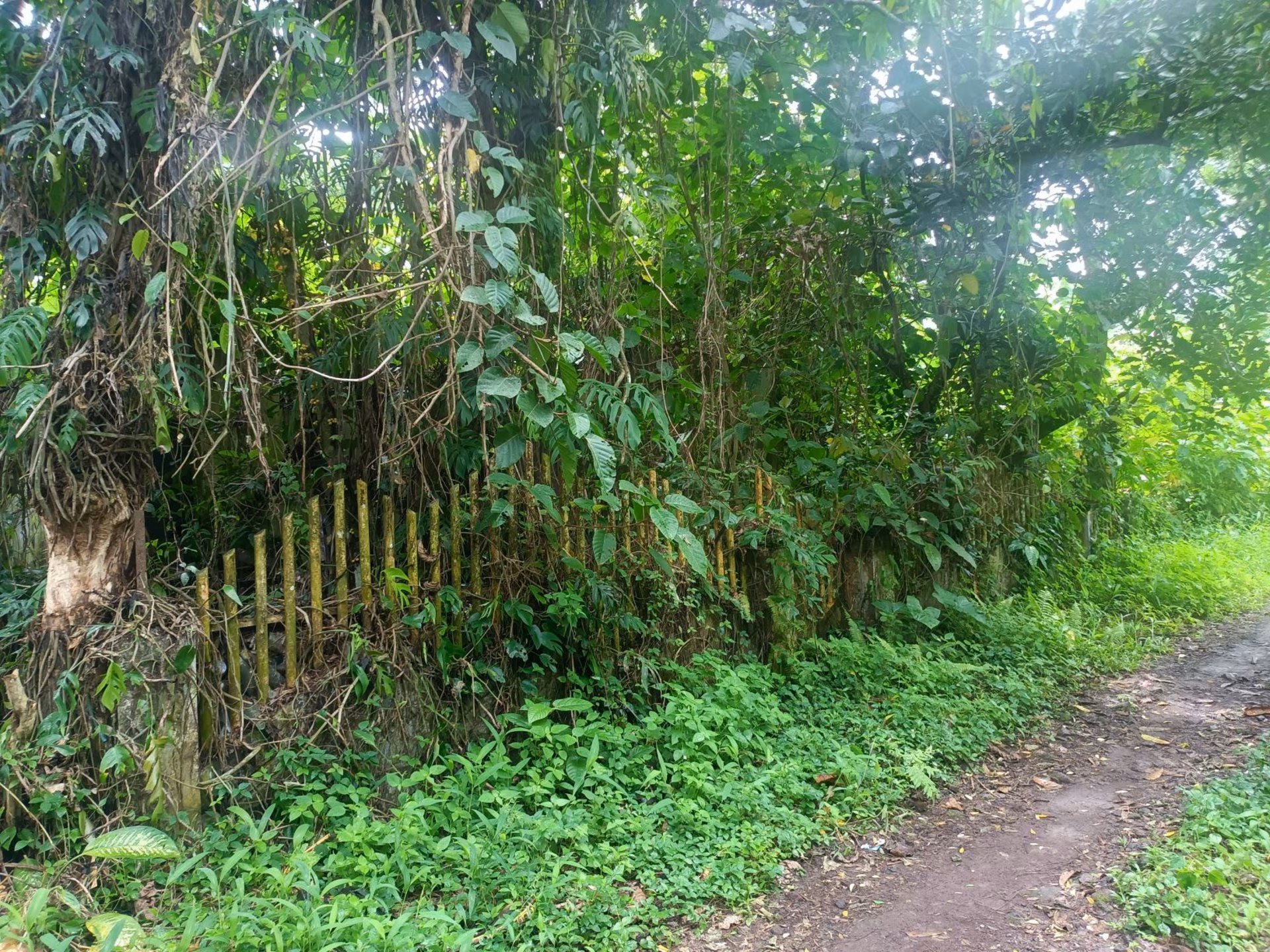 Rumah lelang Kota Manado