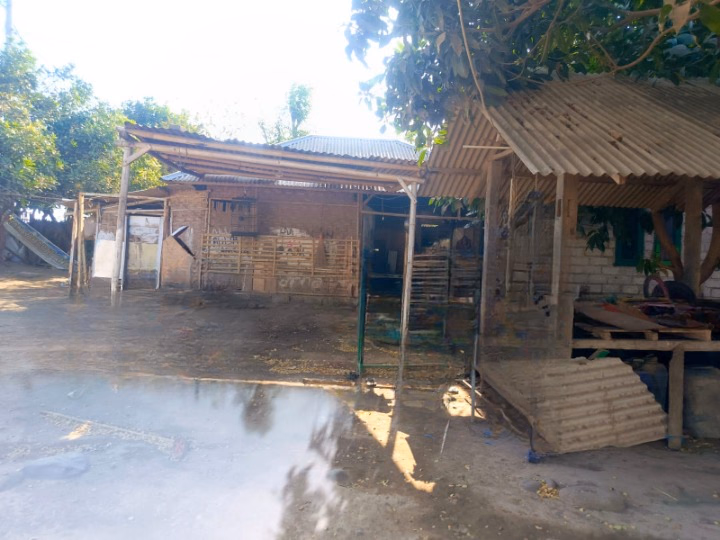 Rumah lelang Kab. Lombok Timur