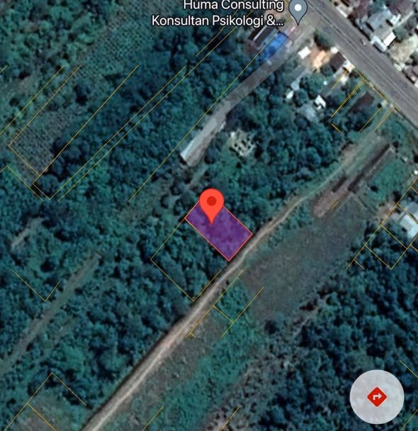 Tanah lelang Kab. Pulang Pisau