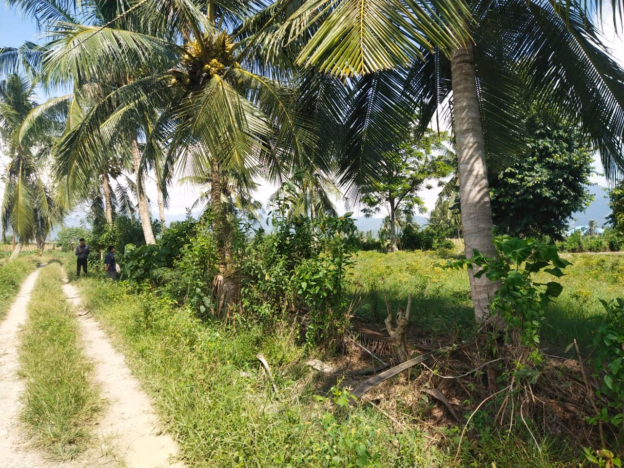 Tanah lelang Kab. Sigi