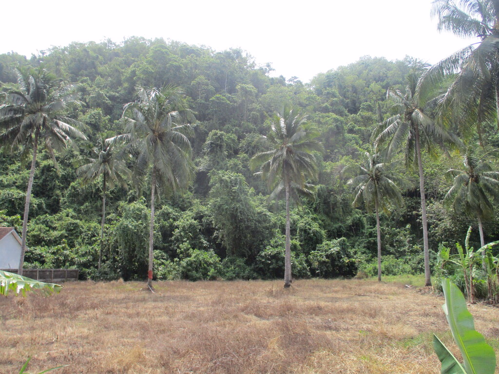 Tanah lelang Kab. Gunungkidul