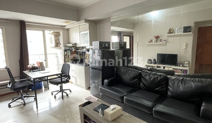 Nicely Designed fully furnished apartment Royal Medit, Terawat, Baru di renov,