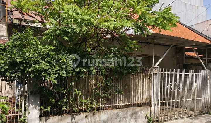 Rumah Tua Dalam Komplek Tanjumg Duren - foto 1