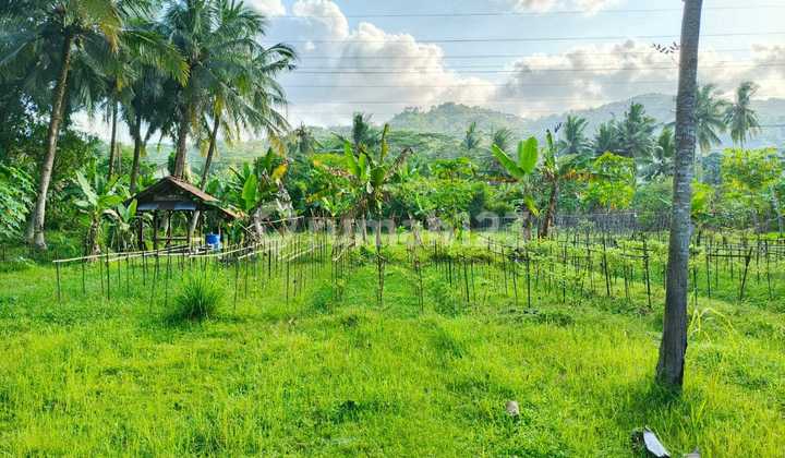 Rumah, 1 Lantai, SHM, di Cengkareng - foto 1