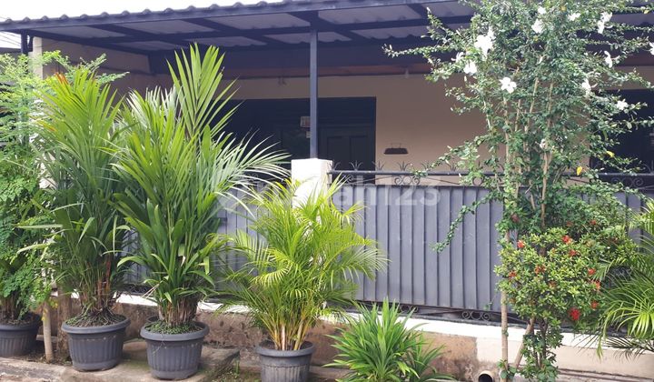 Rumah LT 121 SHM 10 Mnt ke Fresh Market Green Lake City J-48511 - foto 1